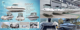 CJS Marine 655HT Hard Top